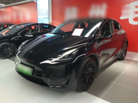 特斯拉 Model Y 2022款 后轮驱动版