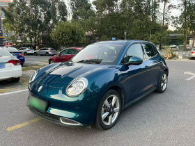 欧拉好猫 2023款 401km标准续航 豪华型 磷酸铁锂