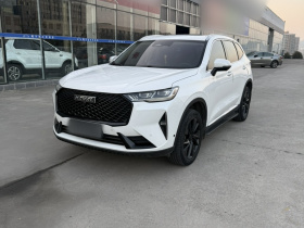 哈弗H6 2021款 第三代 2.0T 自动四驱Supreme