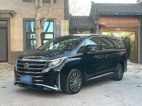 广汽传祺 传祺M8 2023款 领秀系列 390T 尊贵版