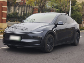 特斯拉 Model Y 2025款 后轮驱动版