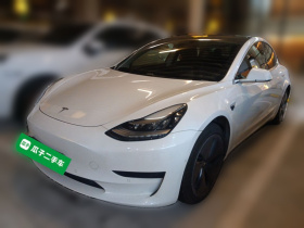 特斯拉 Model 3 2020款 改款 标准续航后驱升级版