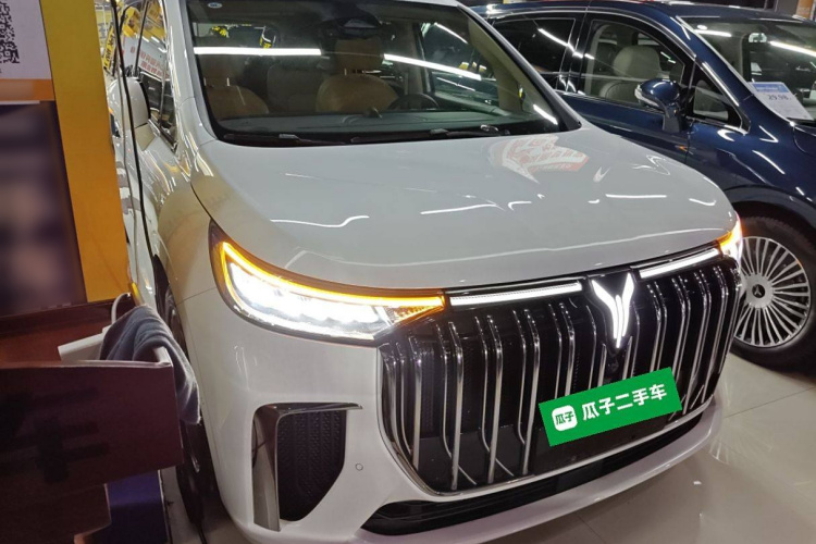 岚图汽车 岚图梦想家 2024款 PHEV 超长续航尊贵版车身外观6002