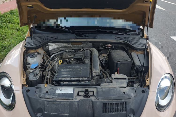 大众 甲壳虫 2017款 180TSI 沙丘越野版局部细节24