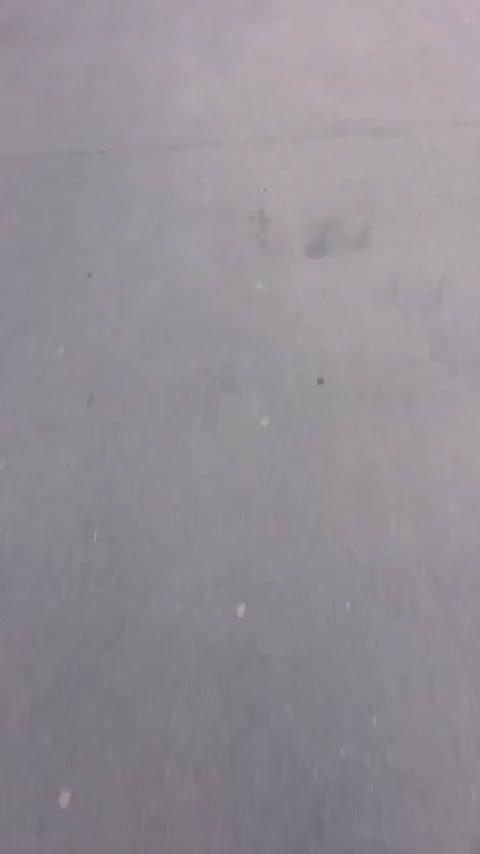 奔驰C级 2020款 C 260 运动版讲解1