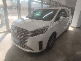 别克GL8 2023款 ES陆尊 尊享型