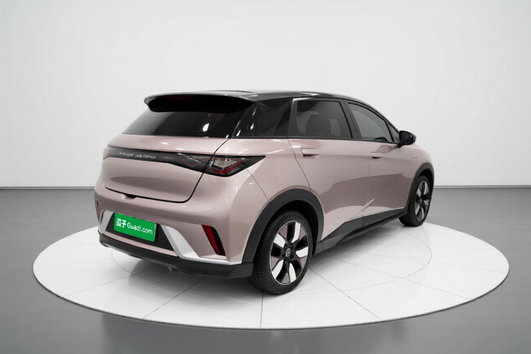 比亚迪 海豚 2021款 401km 骑士版车身外观7