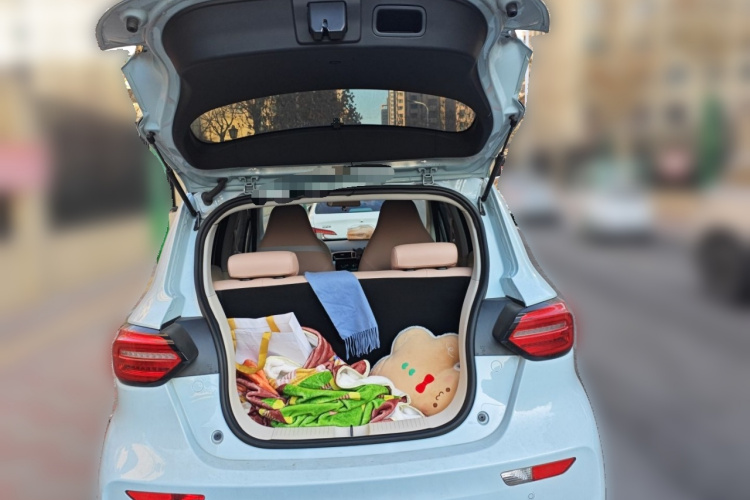 零跑汽车 零跑T03 2024款 310舒享版中控内饰23