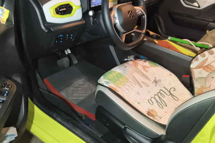 思皓 2022款 花仙子款 满天星中控内饰20