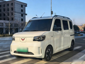 五菱汽车 五菱之光新能源 2025款 201km 舒适型