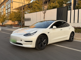 特斯拉 Model 3(进口) 2019款 长续航后驱版