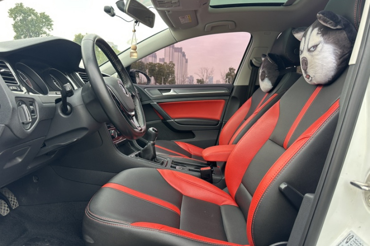 大众 高尔夫 2017款 230TSI 手动舒适百万辆纪念版局部细节19