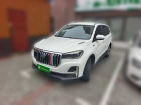 SWM斯威汽车 SWM斯威G05 2019款 2.0L 手动标准型