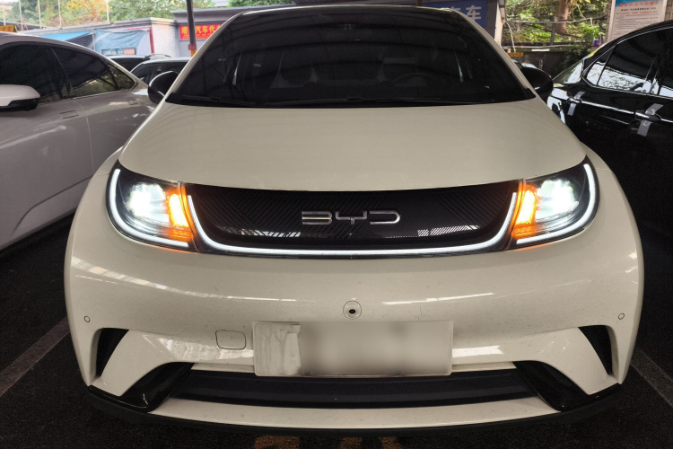 比亚迪 海豚 2023款 420km 时尚版车身外观6001