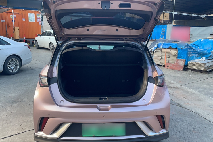 比亚迪 海豚 2023款 401km 骑士版机舱底盘23