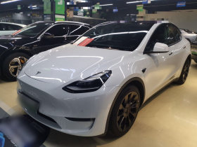 特斯拉 Model Y 2021款 长续航全轮驱动版