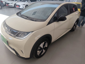 比亚迪 海豚 2023款 420km 时尚版