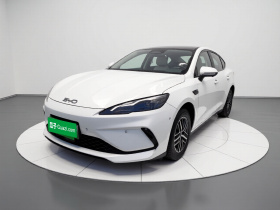 比亚迪 海豹05 DM-i 2025款 DM-i 智驾版 55KM尊贵型