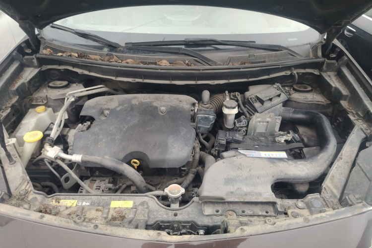 雷诺 科雷傲(进口) 2014款 改款 2.0L 两驱时尚版局部细节24