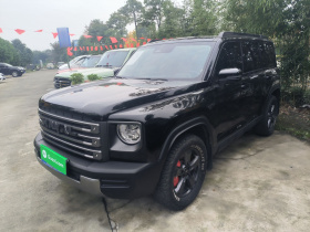 哈弗猛龙新能源 2023款 Hi4 102 探索版