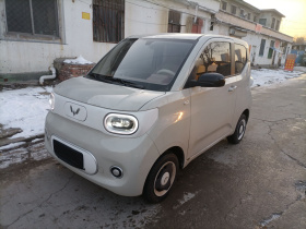 五菱汽车 宏光MINIEV 2024款 第三代 215km 青春版