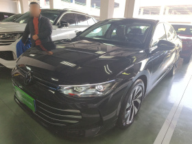 大众 帕萨特 2025款 Pro 300TSI 龙耀版