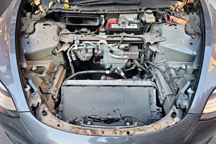 特斯拉 Model 3 2020款 标准续航后驱升级版局部细节24