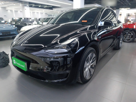 特斯拉 Model Y 2021款 标准续航后驱版