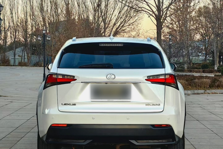 雷克萨斯NX 2016款 200 全驱 锋尚版车身外观6005