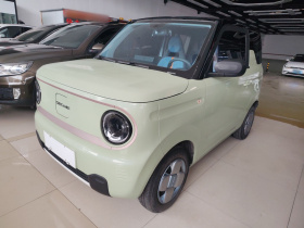 吉利银河 2023款 熊猫mini 200km 耐力熊