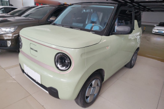 吉利银河 2023款 熊猫mini 200km 耐力熊