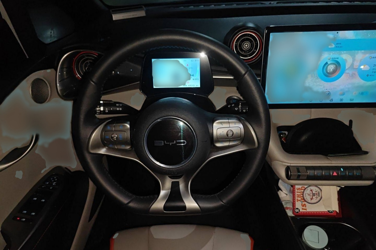 比亚迪 海豚 2021款 401km 骑士版局部细节13