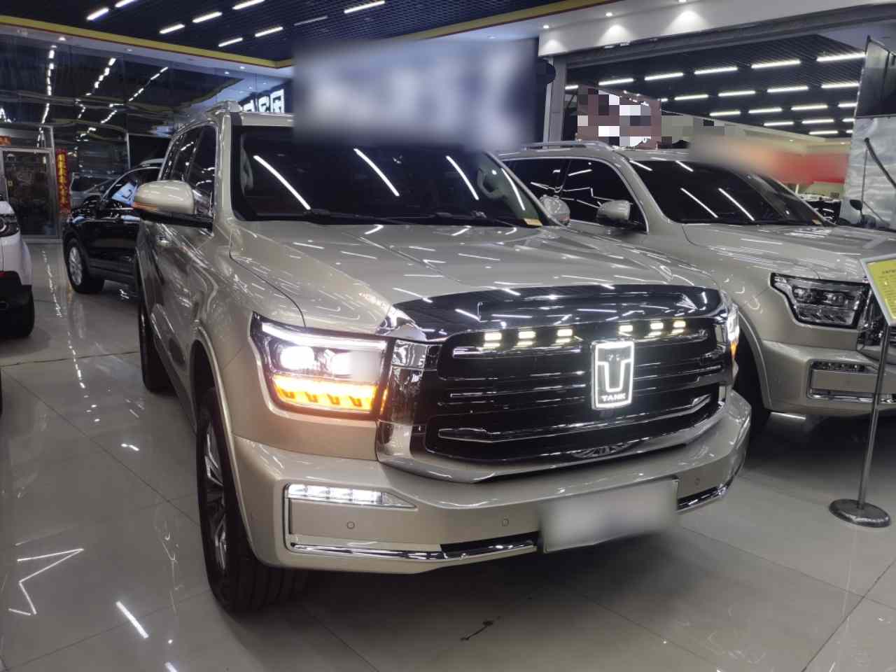坦克500新能源 2023款 Hi4-T(1)