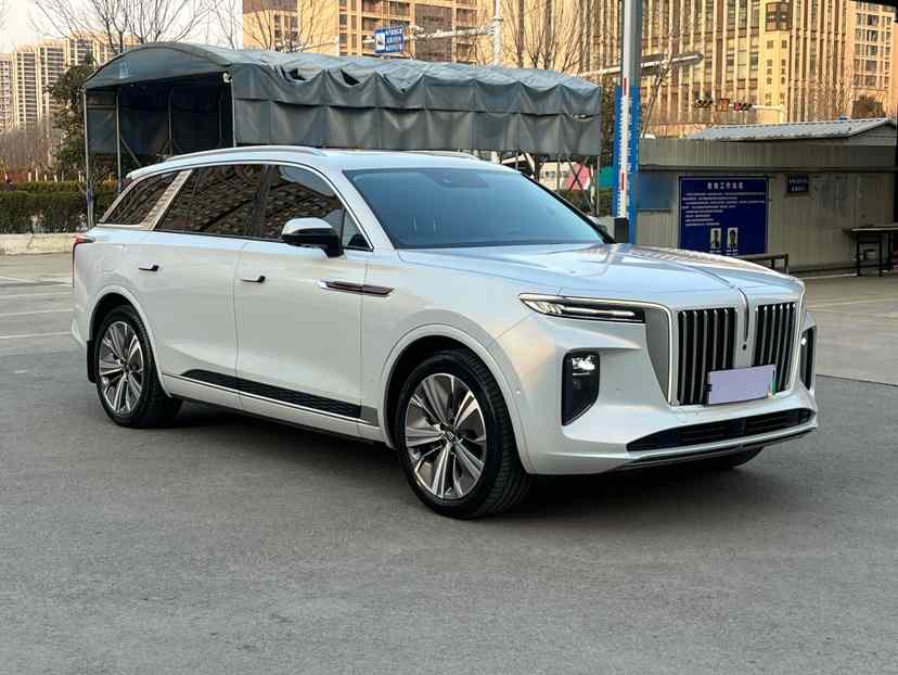 红旗E-HS9 2022款 690km 旗享版 六座(4)