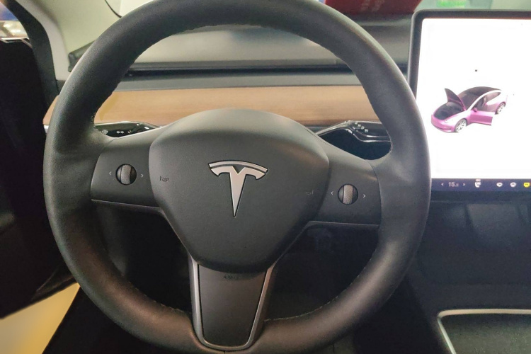 特斯拉 Model 3 2021款 标准续航后驱升级版 3D6局部细节13