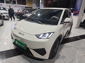 比亚迪 海鸥 2025款 305km 活力版