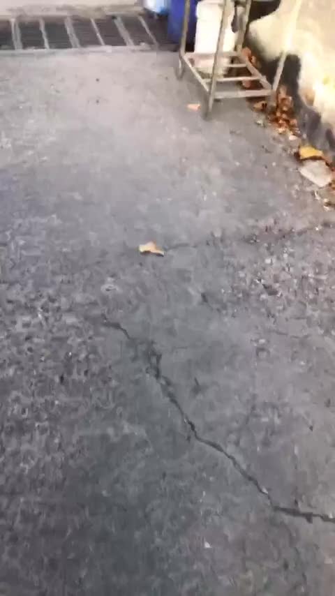 五菱汽车 五菱宏光 2020款 1.2L S基本型国VI LSI讲解1