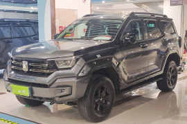 坦克400 2025款 2.4T 柴油版