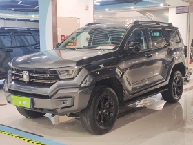 坦克400 2025款 2.4T 柴油版