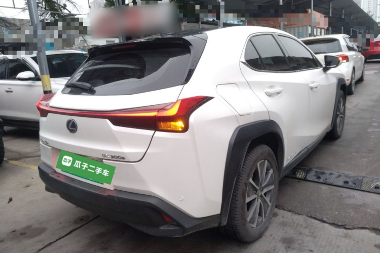 雷克萨斯UX新能源 2020款 300e 纯·悦版车身外观6005