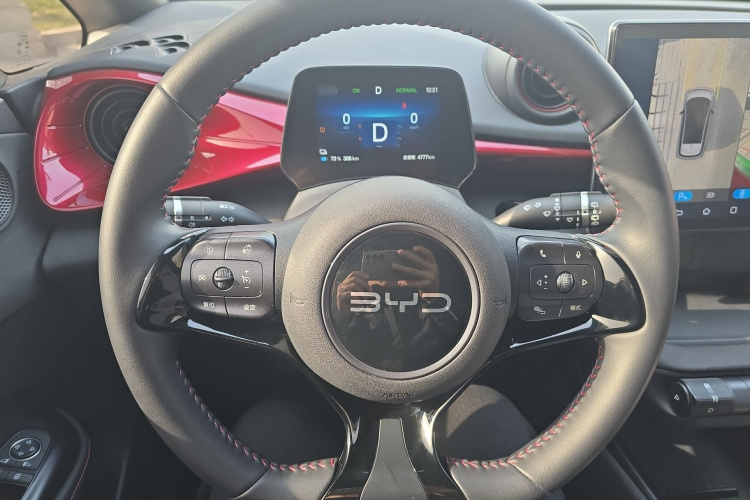 比亚迪 海豚 2025款 420km 自由版局部细节13