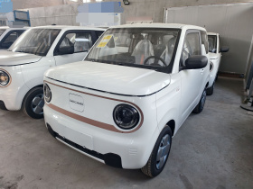 吉利银河 2024款 熊猫mini 200km 耐力熊