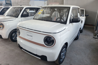 吉利银河 2024款 熊猫mini 200km 耐力熊