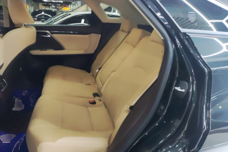 雷克萨斯RX 2020款 300 两驱精英版 国VI中控内饰21