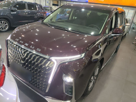 上汽大通MAXUS 大通G90 2022款 2.0T 星际七座版