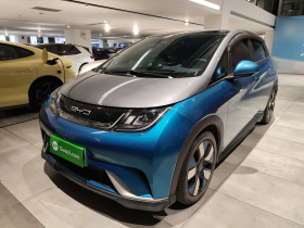 比亚迪 海豚 2021款 401km 骑士版