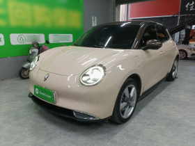 欧拉好猫 2022款 莫兰迪版 400km标准续航 尊贵型 三元锂