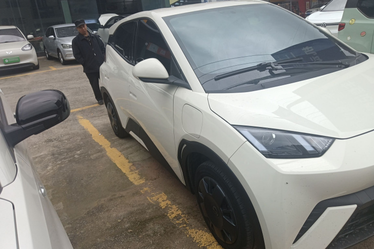 比亚迪 海鸥 2023款 活力版车身外观3