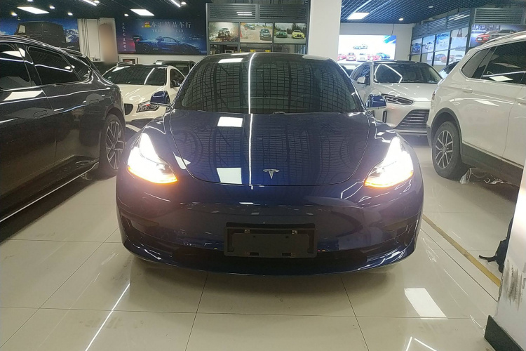 特斯拉 Model 3 2020款 标准续航后驱升级版车身外观2