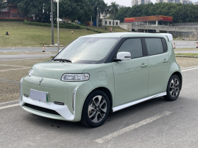 欧拉白猫 2022款 小野猫版 360km 豪华型 三元锂